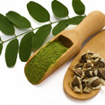 Herbal Medicine