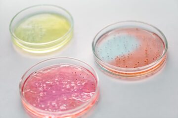 Secret Knowledge Series No 2 – Candida: Why You Should Pay Attention!